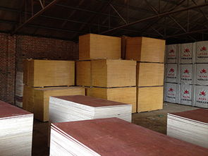 河北建筑模板厂家产品概述 生产、价格与装饰装修材料应用